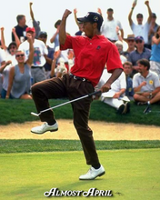 Load image into Gallery viewer, Champion Sweatshirt, Young Tiger