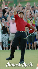 Load image into Gallery viewer, Champion X Tiger Fist Pump

