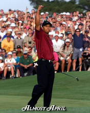 Load image into Gallery viewer, The King of Augusta
